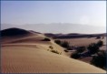 /album/photo-gallery-location-and-climate/desert-scene-windy-ucmp-jpg/